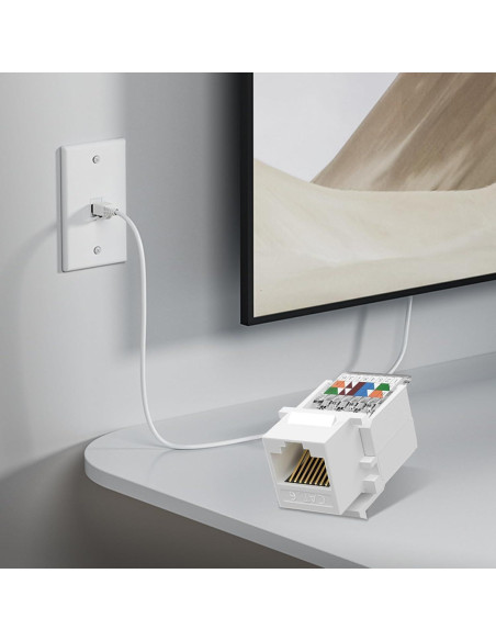 Placa de Pared Ethernet ZOERAX RJ45 Cat 6 Blanca 2-Pack Placa de Pared Ethernet ZOERAX RJ45 Cat 6 Blanca 2-Pack