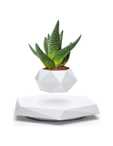 Maceta Flotante YFUG GO Blanca para Suculentas y Bonsai
