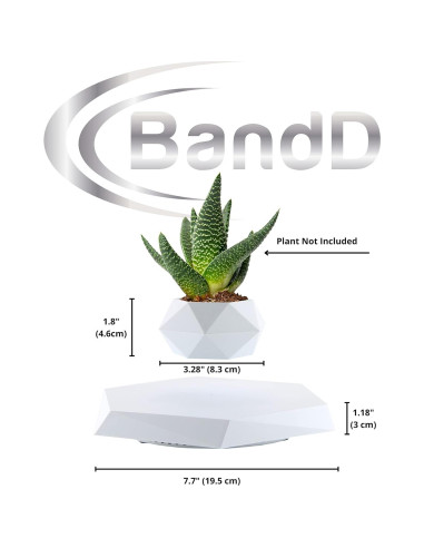 Maceta Flotante YFUG GO Blanca para Suculentas y Bonsai