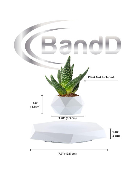 Maceta Flotante YFUG GO Blanca para Suculentas y Bonsai Maceta Flotante YFUG GO Blanca para Suculentas y Bonsai