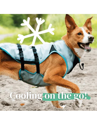 Chaleco Enfriador Suitical para Perros | Talla S | Plata