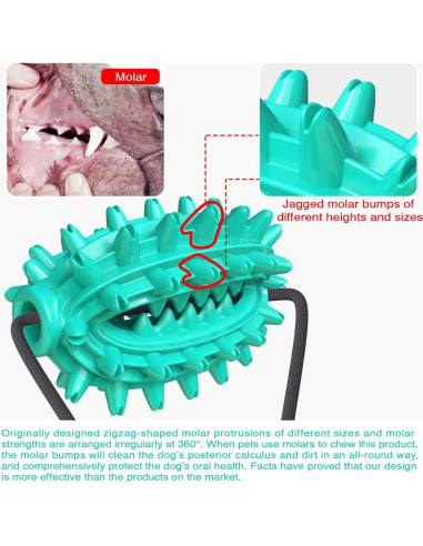 Juguete para Perros Guardians con Ventosa y Cuerda Azul