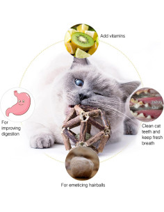 Juguetes para Gatos Gochanmon 2Pcs Catnip y Silvervine 2