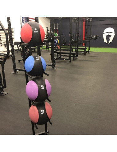 Árbol de Almacenamiento para 5 Balones Medicinales Titan Fitness