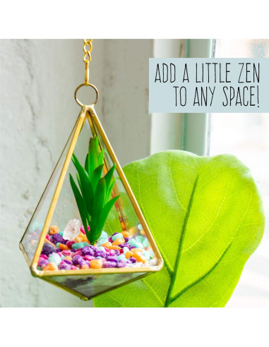 Kit de Terrario de Cristal D.I.Y. STMT para Niños 8+