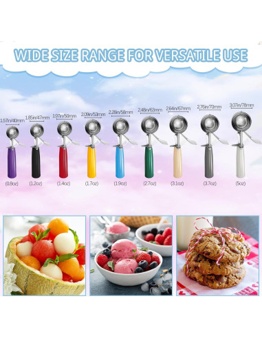 Hsei 9 Pcs Cucharas de Acero Inoxidable para Helado y Galletas