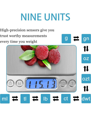 Báscula Digital de Bolsillo NEXT-SHINE 500g x 0.01g LCD