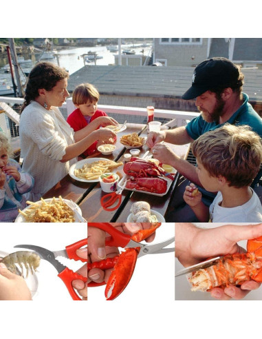 Tijeras de Mariscos Calary 4 Piezas Acero Inoxidable Rojo