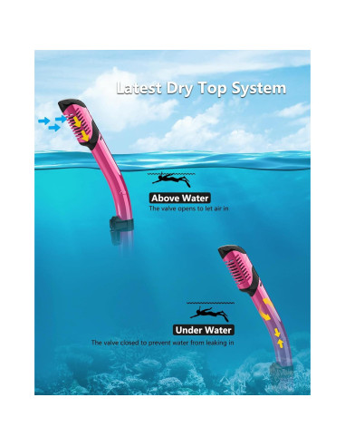 Máscara de Snorkel Bairuifu M8 Adultos 2 Paquetes Anti-vaho