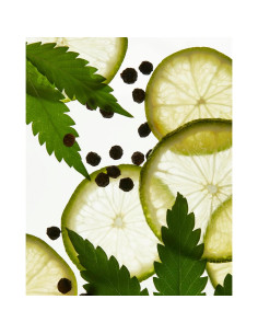 Ambientador de Lujo Vegano Due West - Spray 100 ml - Cítricos y Cáñamo 2