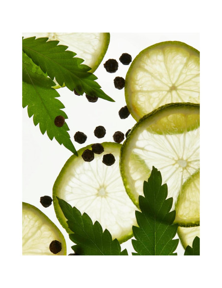 Ambientador de Lujo Vegano Due West - Spray 100 ml - Cítricos y Cáñamo Ambientador de Lujo Vegano Due West - Spray 100 ml - Cítricos y Cáñamo