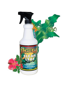 Limpiador Natural de Hojas Jungle Rain Clean Leaf 0.95L