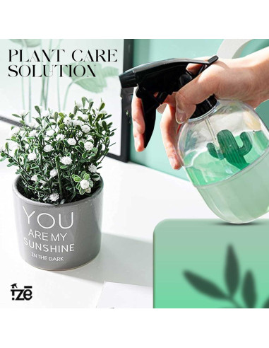 Botellas de Spray FZE Estilo Cactus 500ml Paquete de 2