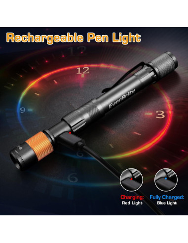 Linterna Recargable EverBrite 300 Lúmenes LED Compacta