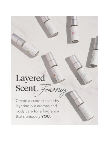 Conjunto de Fragancias Zents - 10 Mini Eau de Perfume 1.5ml