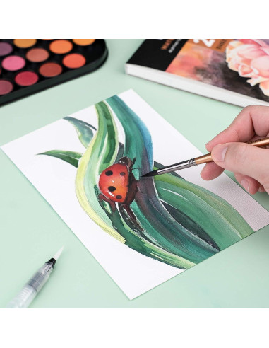 Juego de Pintura Acuarela Nicpro 48 Colores con Pinceles y Paleta