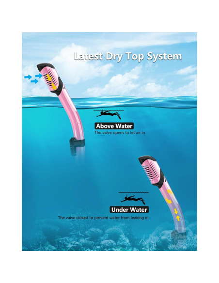 Máscara de Snorkel Bairuifu M8 Adultos 2 Paquetes Anti-vaho Máscara de Snorkel Bairuifu M8 Adultos 2 Paquetes Anti-vaho