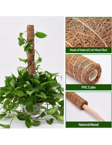 Postes de Musgo para Plantas Eibikdi - 8 Piezas 43.18cm