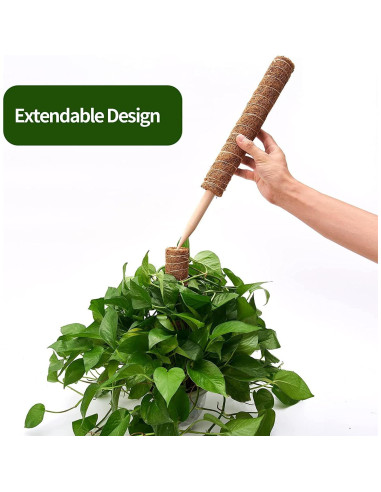 Postes de Musgo para Plantas Eibikdi - 8 Piezas 43.18cm