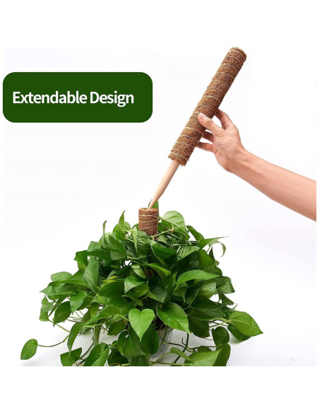 Postes de Musgo para Plantas Eibikdi - 8 Piezas 43.18cm Postes de Musgo para Plantas Eibikdi - 8 Piezas 43.18cm
