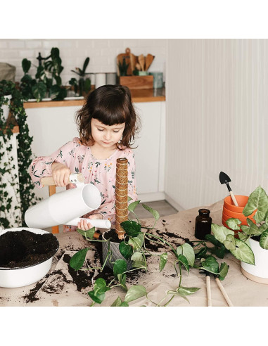 Postes de Musgo para Plantas Eibikdi - 8 Piezas 43.18cm