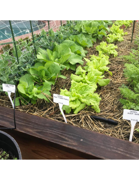 Etiquetas de Jardín KINGLAKE 30 Pcs 30 cm Plástico Impermeables Etiquetas de Jardín KINGLAKE 30 Pcs 30 cm Plástico Impermeables