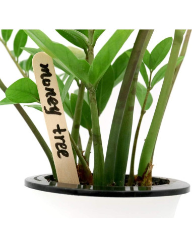 Etiquetas de Jardín de Madera KINGLAKE 150 Pcs 15.24 cm