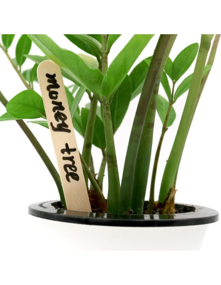 Etiquetas de Jardín de Madera KINGLAKE 150 Pcs 15.24 cm Etiquetas de Jardín de Madera KINGLAKE 150 Pcs 15.24 cm