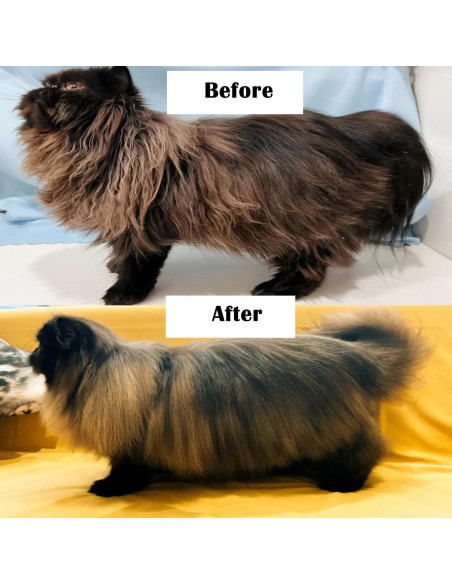 Cepillo Autolimpiante para Perros y Gatos ABBAJI Azul - Masaje y Limpieza Cepillo Autolimpiante para Perros y Gatos ABBAJI Azul - Masaje y Limpieza