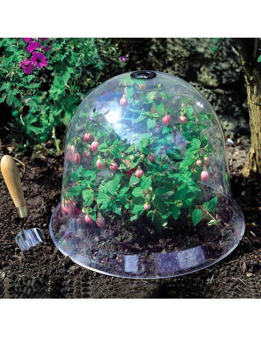 Juego de 6 Campanas de Vidrio Reutilizables 25.4 cm Xnferty