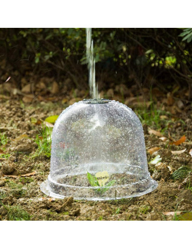 Juego de 6 Campanas de Vidrio Reutilizables 25.4 cm Xnferty