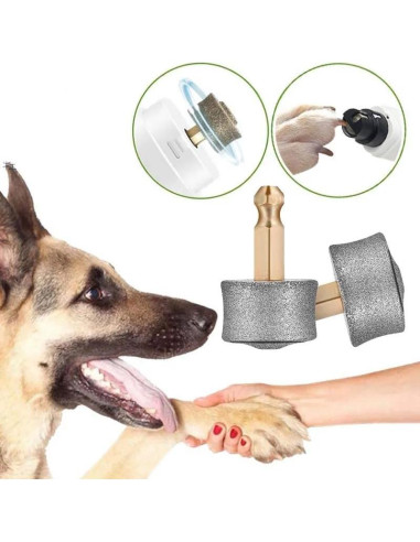 Molinillo de Uñas para Perros Tvoip - 3 Cabezas de Repuesto