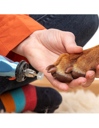 Cabezas de Repuesto para Molinillo de Uñas de Perro Ipetboom - 10 Piezas de Punta de Diamante