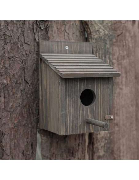 Casa para Aves de Madera NATUREYLWL 15x15x21.8cm Exterior Casa para Aves de Madera NATUREYLWL 15x15x21.8cm Exterior