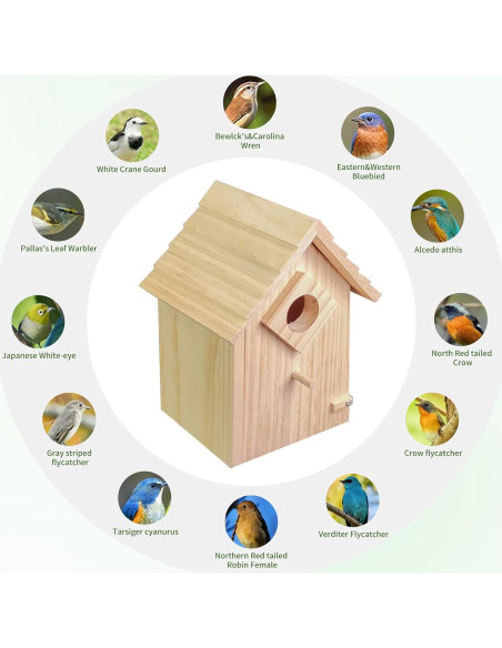 Casa de Aves de Madera lilLittle 22.86x15.24cm Fácil de Limpiar Casa de Aves de Madera lilLittle 22.86x15.24cm Fácil de Limpiar