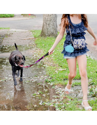 Bolsa de Golosinas para Perros Nuevo Oasis 10oz Silicona Reutilizable