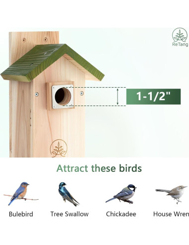 Casa para pájaros de cedro ReTang con ventana y guardia
