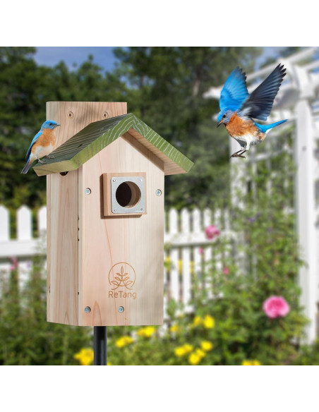 Casa para pájaros de cedro ReTang con ventana y guardia Casa para pájaros de cedro ReTang con ventana y guardia