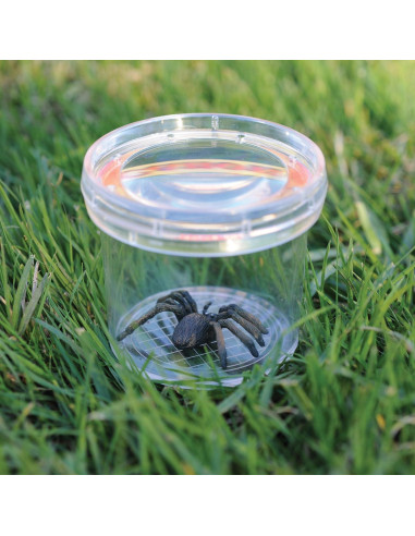 Visor de Insectos GeoSafari Jr. para Niños 3-6 Años