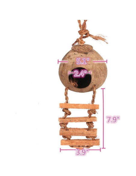 Casa de Pájaro Colgante Hamiledyi de Coco Natural 13cm Casa de Pájaro Colgante Hamiledyi de Coco Natural 13cm