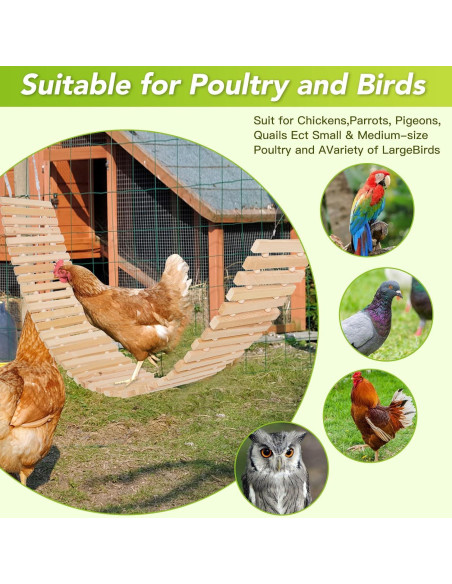 Columpio y Puente para Gallinas Jorewood XL de Madera