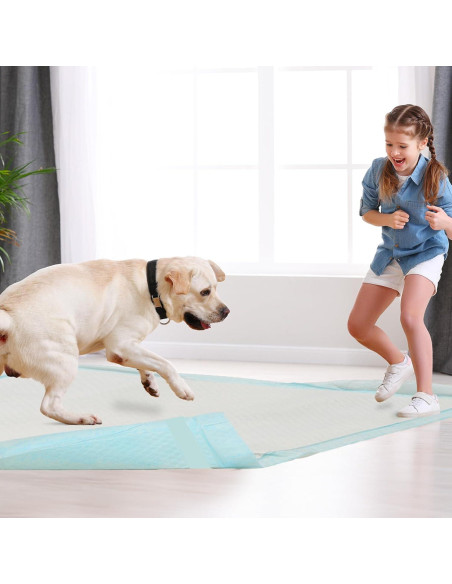 Alfombrillas Desechables para Perros HEPPYPLUS 90 Unidades 56x58cm Alfombrillas Desechables para Perros HEPPYPLUS 90 Unidades 56x58cm