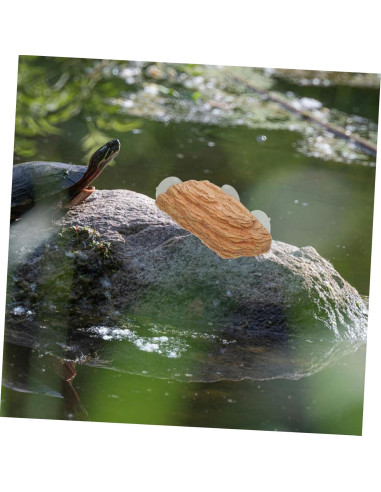 Plataforma de Solarium para Tortugas Kisangel 22x13cm con Ventosas