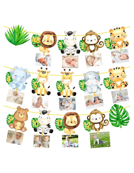 Banderín de Fotos Primer Cumpleaños Safari iPartyFun - 15 Tarjetas Banderín de Fotos Primer Cumpleaños Safari iPartyFun - 15 Tarjetas