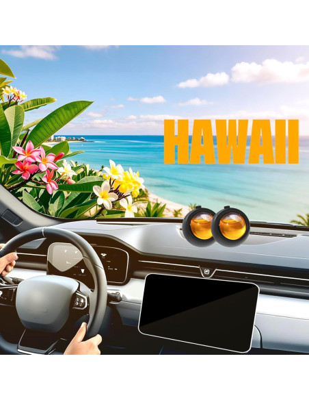 Ambientador de Auto AQUA BLANCE Hawaiano Clip Ventilación 6 Unidades Ambientador de Auto AQUA BLANCE Hawaiano Clip Ventilación 6 Unidades