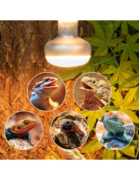 Lámpara de Calor 75W REPTI ZOO para Reptiles y Pollos Lámpara de Calor 75W REPTI ZOO para Reptiles y Pollos