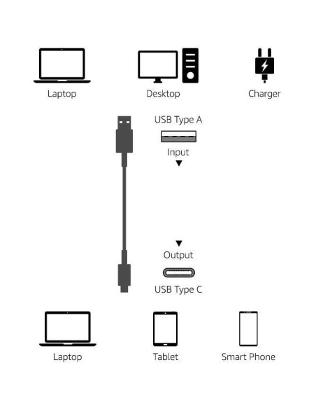 Cable de carga rápida USB-C a USB-A Amazon Basics 0.91m Cable de carga rápida USB-C a USB-A Amazon Basics 0.91m