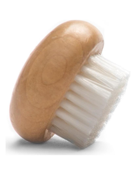 Cepillo para Champiñones de Madera Fox Run con Cerdas Suaves Cepillo para Champiñones de Madera Fox Run con Cerdas Suaves