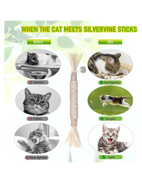 Juguete Dental para Gatos BAWAN - Palos de Silvervine 1PCS Juguete Dental para Gatos BAWAN - Palos de Silvervine 1PCS