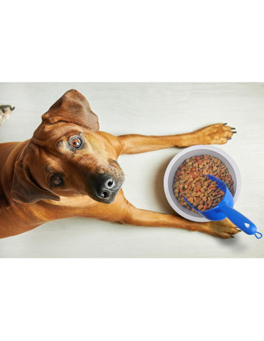 Cucharón para comida de mascotas Van Ness 2 tazas Azul